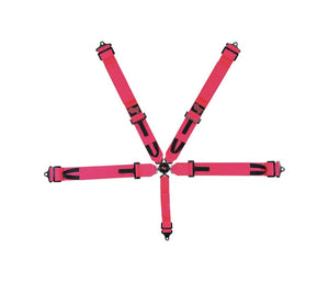 7000 Cam-Lock 5-Point PD Harness