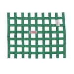G-Force Window Net - Saferacer