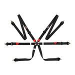 7624 Endurance 2 FIA Outlet Harness